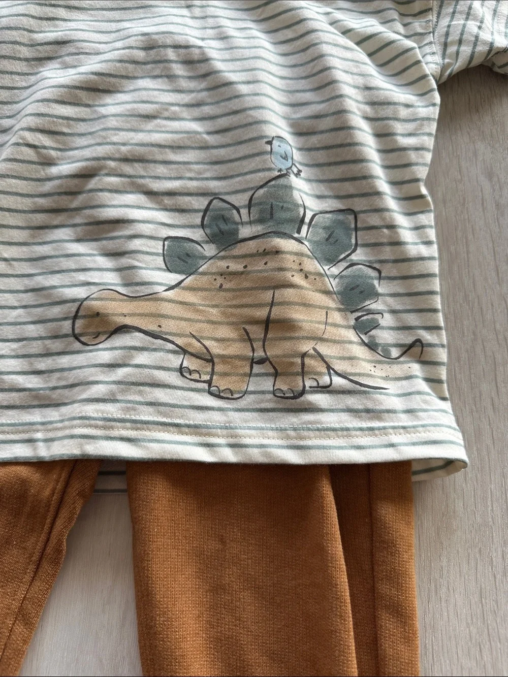 Carter’s 2-Piece Dinosaur Striped Hooded Tee & Jogger Set Multi 4T NWT